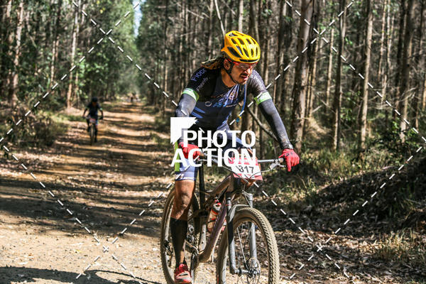 Buy your photos of the event16 Edio Maratona 100Km Canaviais on Fotop