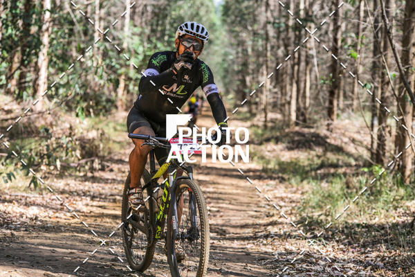 Buy your photos of the event16 Edio Maratona 100Km Canaviais on Fotop