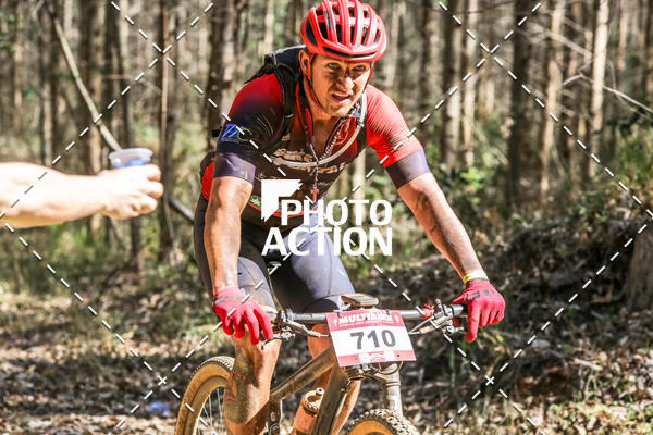 Buy your photos of the event16 Edio Maratona 100Km Canaviais on Fotop