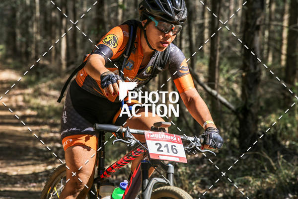 Buy your photos of the event16 Edio Maratona 100Km Canaviais on Fotop