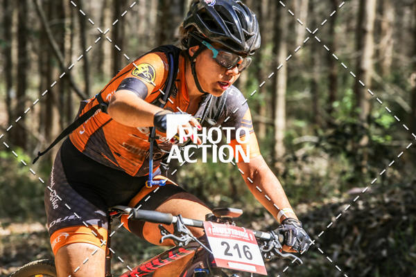 Buy your photos of the event16 Edio Maratona 100Km Canaviais on Fotop