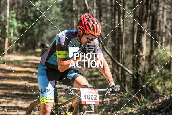 Buy your photos of the event16 Edio Maratona 100Km Canaviais on Fotop
