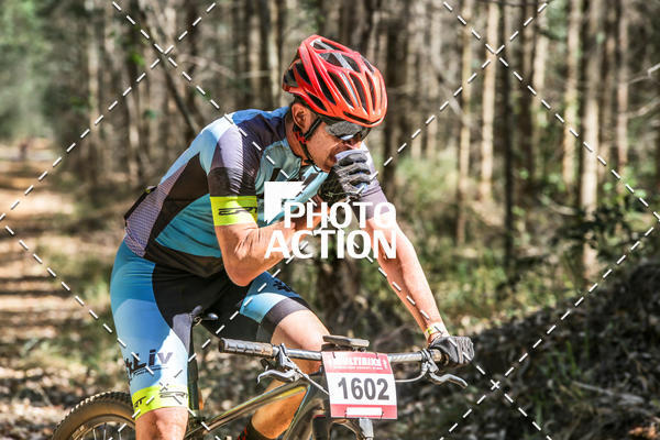 Buy your photos of the event16 Edio Maratona 100Km Canaviais on Fotop