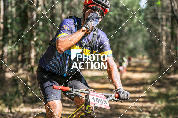Buy your photos of the event16 Edio Maratona 100Km Canaviais on Fotop
