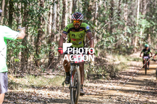 Buy your photos of the event16 Edio Maratona 100Km Canaviais on Fotop