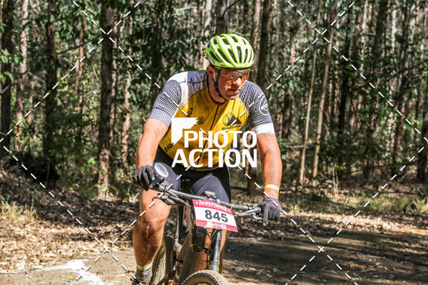 Buy your photos of the event16 Edio Maratona 100Km Canaviais on Fotop