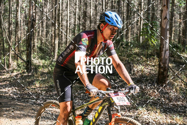 Buy your photos of the event16 Edio Maratona 100Km Canaviais on Fotop