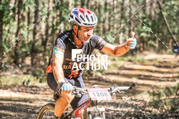 Buy your photos of the event16 Edio Maratona 100Km Canaviais on Fotop