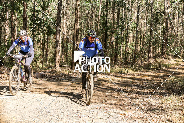 Buy your photos of the event16 Edio Maratona 100Km Canaviais on Fotop
