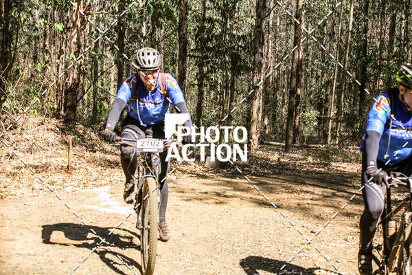 Buy your photos of the event16 Edio Maratona 100Km Canaviais on Fotop