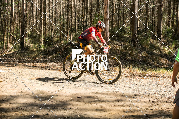 Buy your photos of the event16 Edio Maratona 100Km Canaviais on Fotop