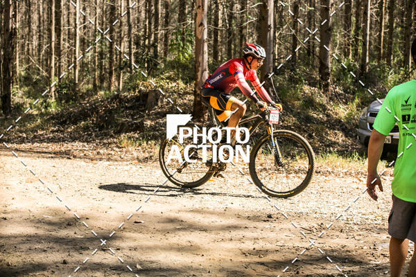 Buy your photos of the event16 Edio Maratona 100Km Canaviais on Fotop