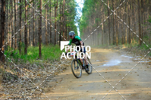 Buy your photos of the event16 Edio Maratona 100Km Canaviais on Fotop