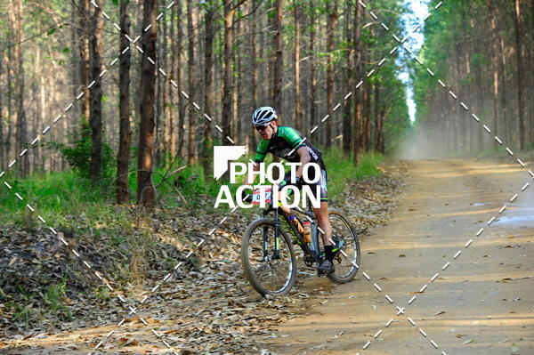 Buy your photos of the event16 Edio Maratona 100Km Canaviais on Fotop