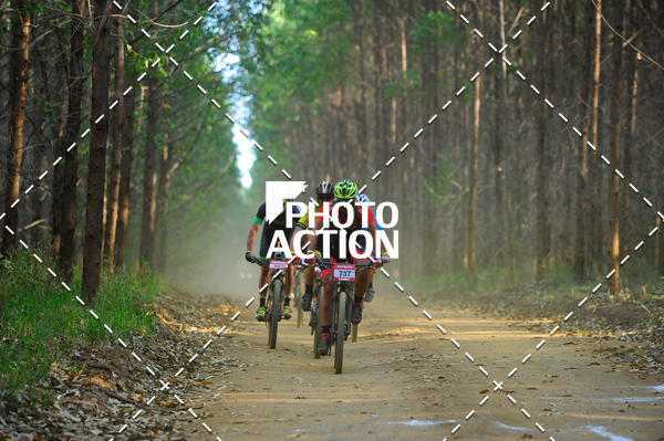 Buy your photos of the event16 Edio Maratona 100Km Canaviais on Fotop