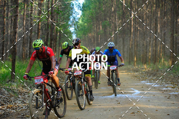 Buy your photos of the event16 Edio Maratona 100Km Canaviais on Fotop
