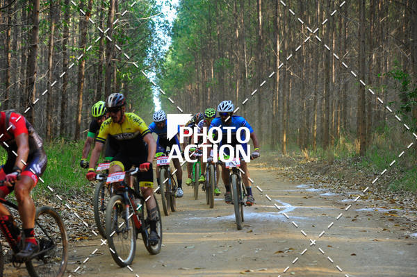 Buy your photos of the event16 Edio Maratona 100Km Canaviais on Fotop