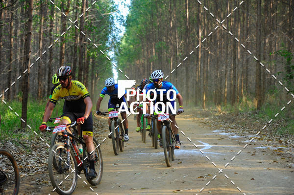 Buy your photos of the event16 Edio Maratona 100Km Canaviais on Fotop