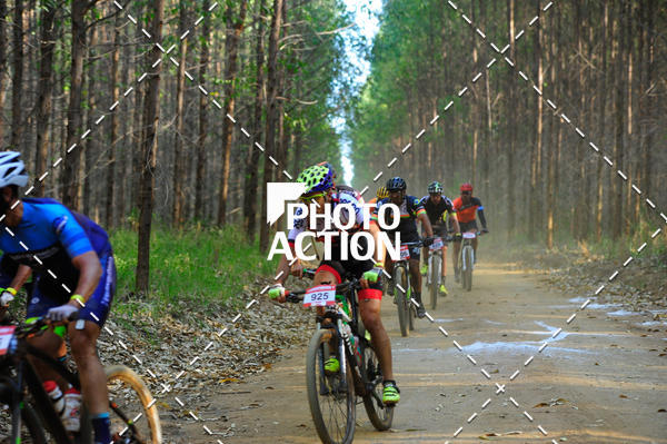 Buy your photos of the event16 Edio Maratona 100Km Canaviais on Fotop