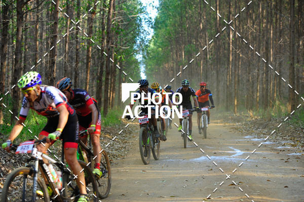 Buy your photos of the event16 Edio Maratona 100Km Canaviais on Fotop