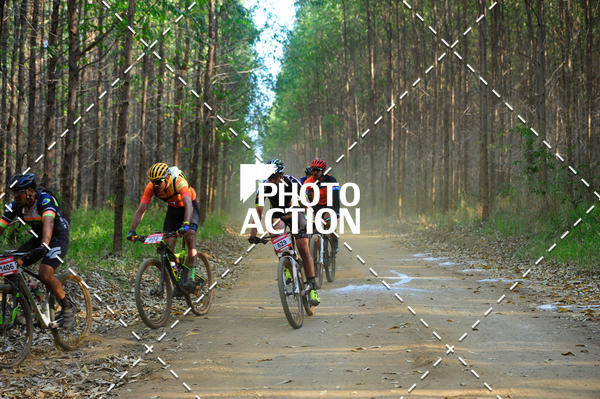 Buy your photos of the event16 Edio Maratona 100Km Canaviais on Fotop