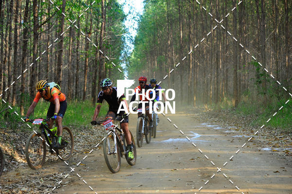 Buy your photos of the event16 Edio Maratona 100Km Canaviais on Fotop
