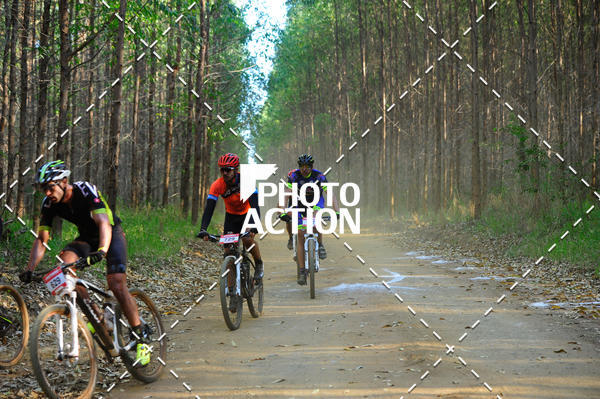 Buy your photos of the event16 Edio Maratona 100Km Canaviais on Fotop