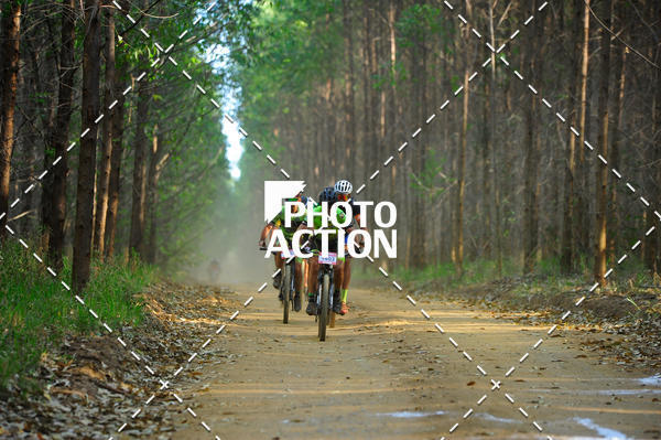 Buy your photos of the event16 Edio Maratona 100Km Canaviais on Fotop