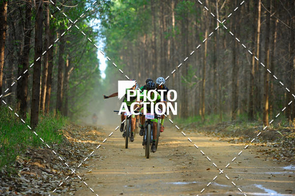 Buy your photos of the event16 Edio Maratona 100Km Canaviais on Fotop