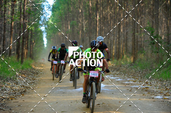 Buy your photos of the event16 Edio Maratona 100Km Canaviais on Fotop
