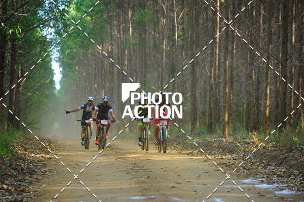 Buy your photos of the event16 Edio Maratona 100Km Canaviais on Fotop