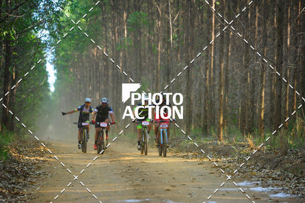 Buy your photos of the event16 Edio Maratona 100Km Canaviais on Fotop