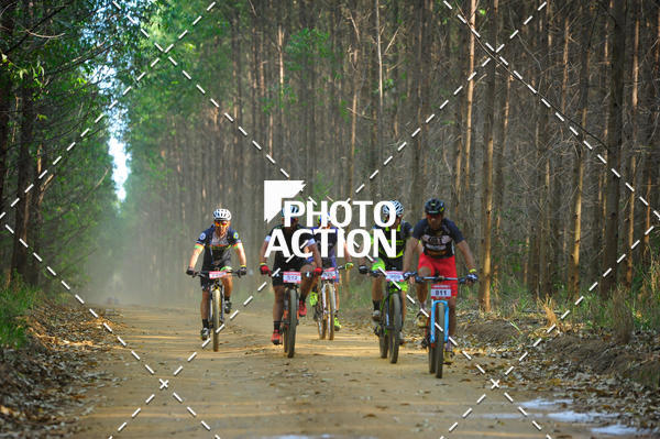 Buy your photos of the event16 Edio Maratona 100Km Canaviais on Fotop