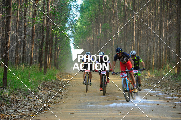 Buy your photos of the event16 Edio Maratona 100Km Canaviais on Fotop