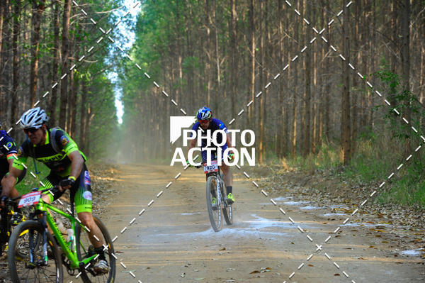 Buy your photos of the event16 Edio Maratona 100Km Canaviais on Fotop