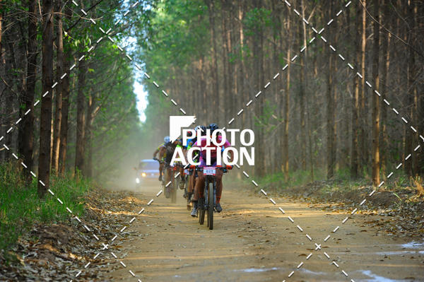 Buy your photos of the event16 Edio Maratona 100Km Canaviais on Fotop