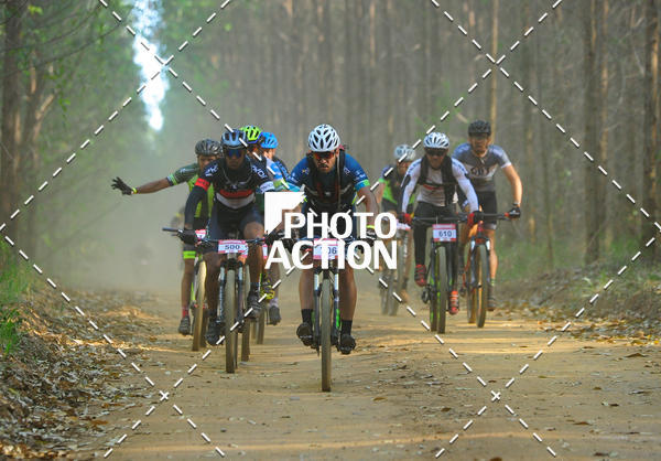 Buy your photos of the event16 Edio Maratona 100Km Canaviais on Fotop