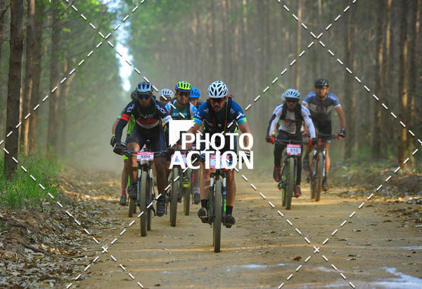 Buy your photos of the event16 Edio Maratona 100Km Canaviais on Fotop
