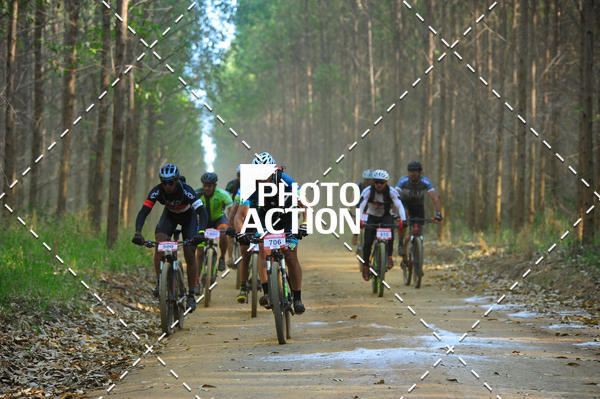 Buy your photos of the event16 Edio Maratona 100Km Canaviais on Fotop