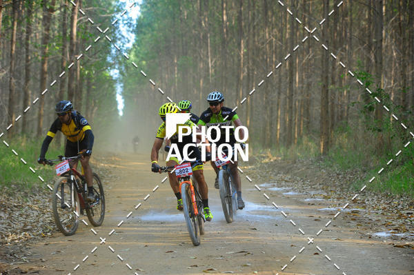 Buy your photos of the event16 Edio Maratona 100Km Canaviais on Fotop