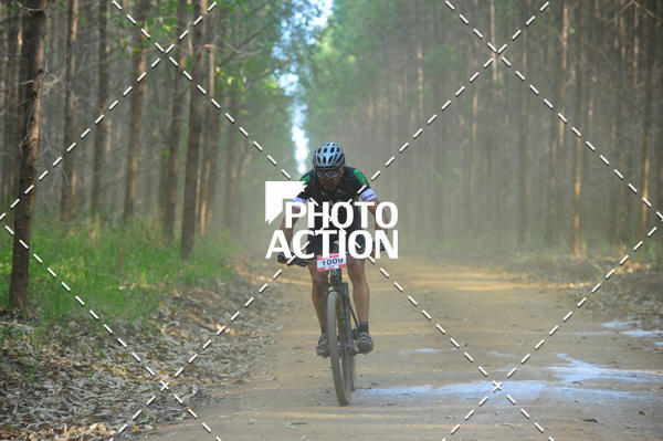 Buy your photos of the event16 Edio Maratona 100Km Canaviais on Fotop