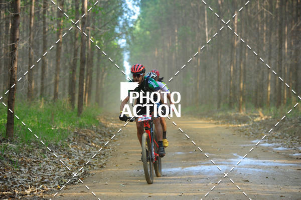 Buy your photos of the event16 Edio Maratona 100Km Canaviais on Fotop