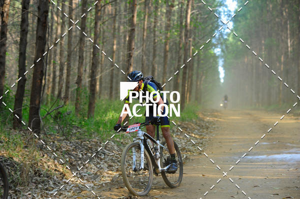 Buy your photos of the event16 Edio Maratona 100Km Canaviais on Fotop