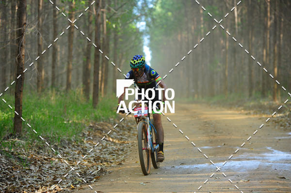 Buy your photos of the event16 Edio Maratona 100Km Canaviais on Fotop