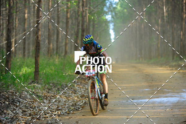 Buy your photos of the event16 Edio Maratona 100Km Canaviais on Fotop