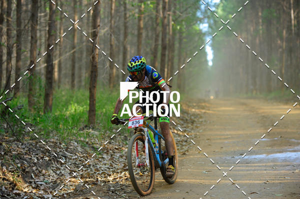 Buy your photos of the event16 Edio Maratona 100Km Canaviais on Fotop