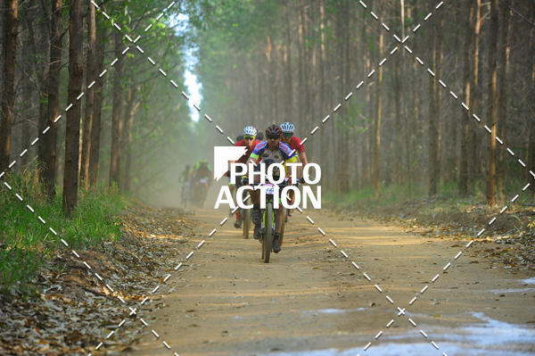 Buy your photos of the event16 Edio Maratona 100Km Canaviais on Fotop
