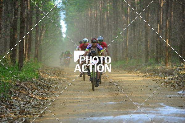 Buy your photos of the event16 Edio Maratona 100Km Canaviais on Fotop