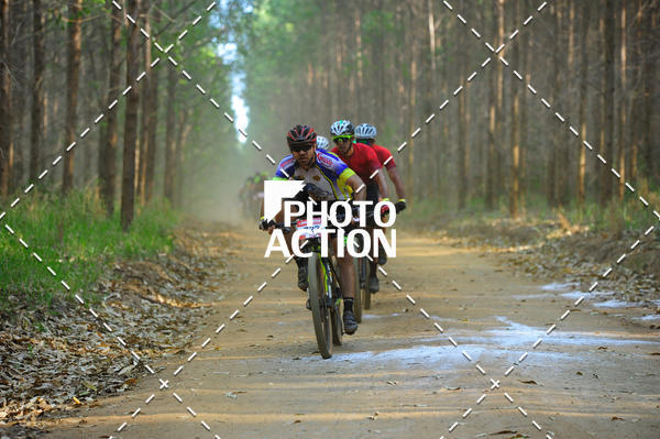 Buy your photos of the event16 Edio Maratona 100Km Canaviais on Fotop