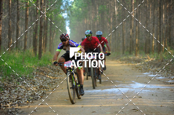 Buy your photos of the event16 Edio Maratona 100Km Canaviais on Fotop